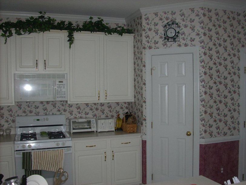 kitchen cabinet discounts before kitchen makeover powell old2